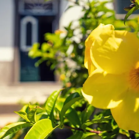 Casa Da Cal - By Casas Na Ilha بيت ضيافة 4*