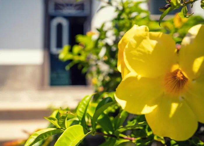 Casa Da Cal - By Casas Na Ilha Konukevi 4*